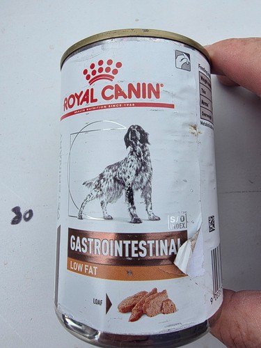 Royal canin gastro intestinal - royal,