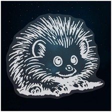 'African Pygmy Hedgehog'