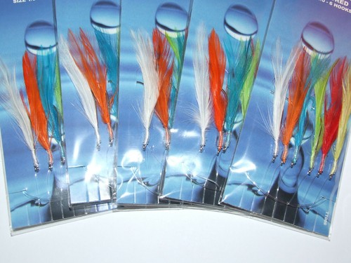 Mackerel cod feathers sea - mackerel,