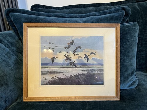 Vintage peter scott - scott, print