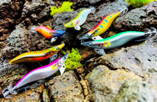 Fukushima New Design Zeeck SQUID JIG Egi Cuttle fish jig 3.5 20g Sea Fishing