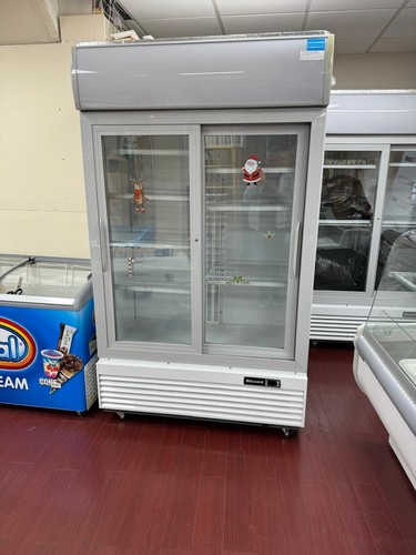 Blizzard 1000sl upright - gd,
