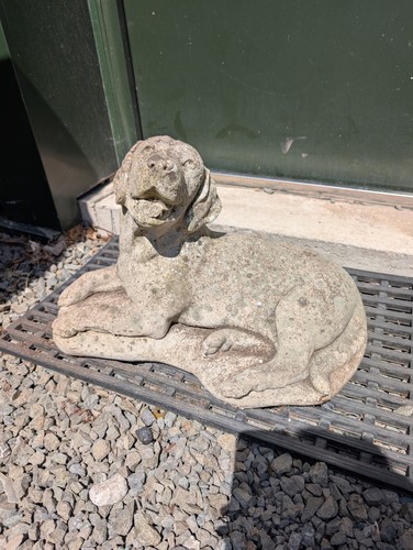 Large labrador dog - large, cast