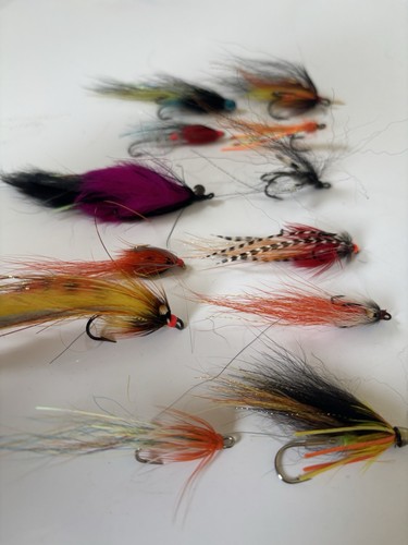 Scottish salmon flies - salmon,