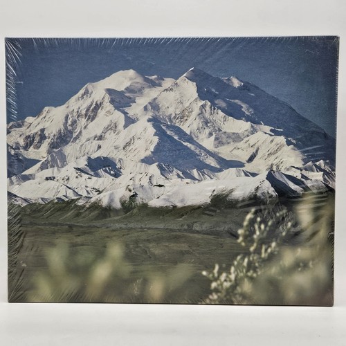 Vintage mount mckinley - mount, 500