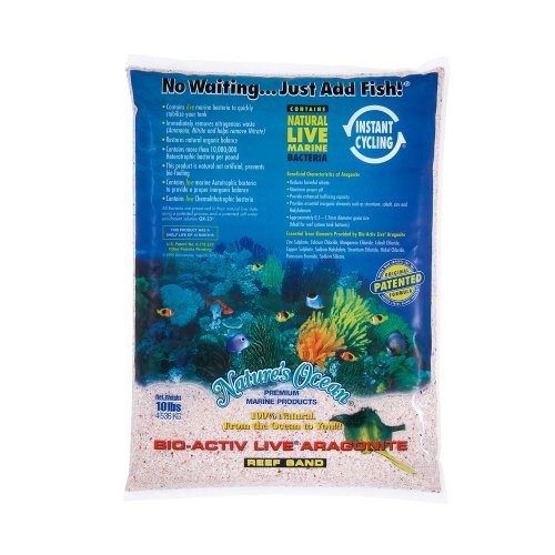 Natures ocean live - natures, aragonite
