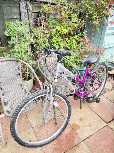 26in silver purple - silver/purple, mountain