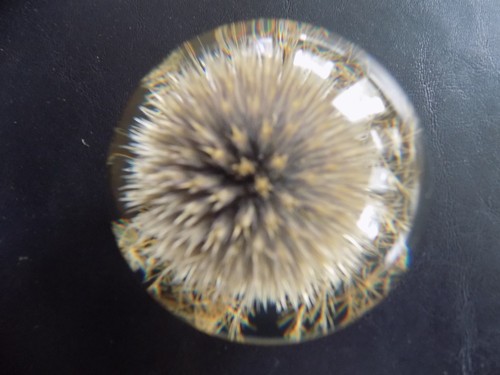 Hafod grange paperweight 2004 - paperweight,