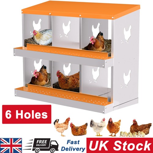 Compartments chicken nesting - chicken,