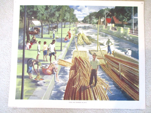 School poster java cane - java, &