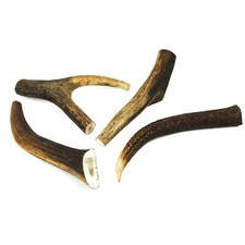 Dog Chew Deer Antler Natural