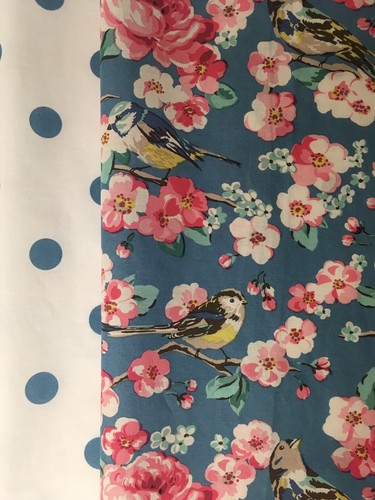 Meadowfield birds blue spots - birds,