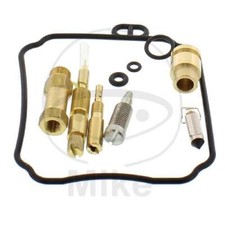Carburetor Repair Kit NP-Y0079