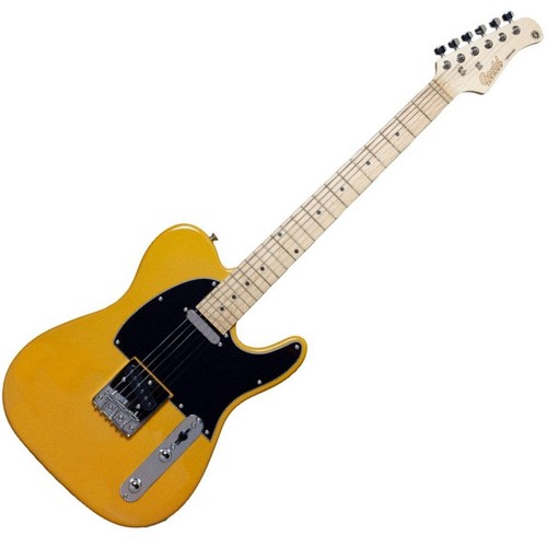 Gould tennessee electric - tennessee,