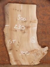 English Elm Live/Natural/Waney Edge Plank Hardwood Timber (170201)