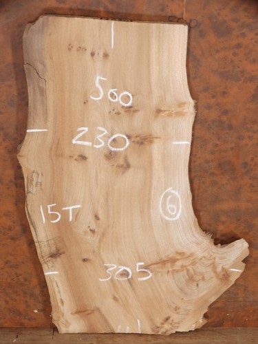 English elm live - elm, live/natural/waney