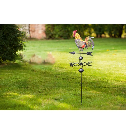 Cockerel rooster weather - cockerel,