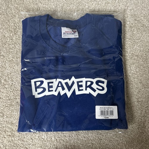 Beavers scouts sweatshirt blue - scouts,