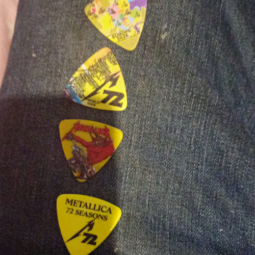 Metallica seasons guitar - 4,