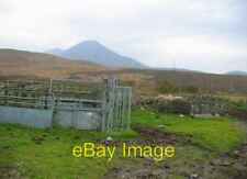Photo 6x4 Cattle crush, Harapool. Blackpark Cattle handling facilities be c2005