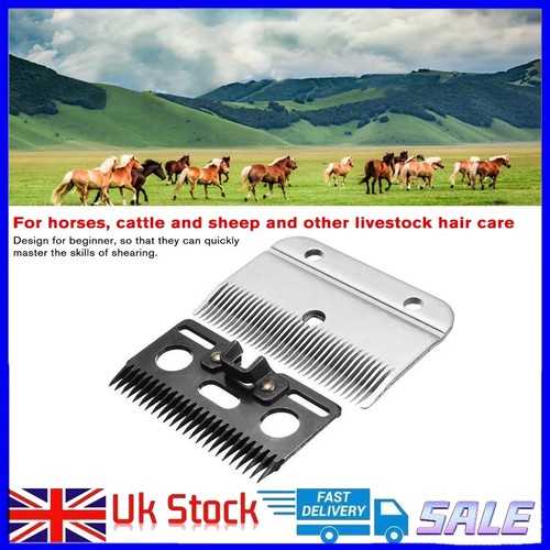 Heavy duty medium horse - uk, heavy-duty