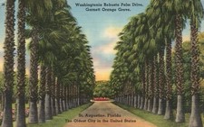 Vintage Postcard 1930's