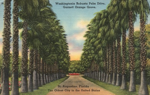 Vintage postcard 1930 - vintage, 1930's