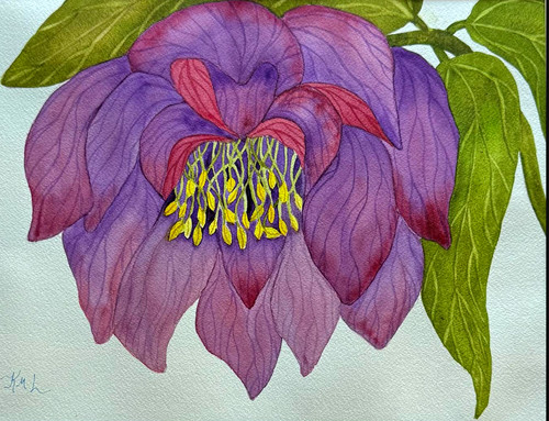 Painting watercolor flower - painting,