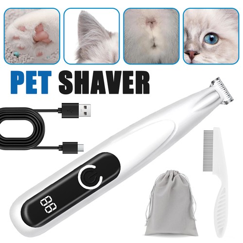 Professional pet dog - dog, grooming
