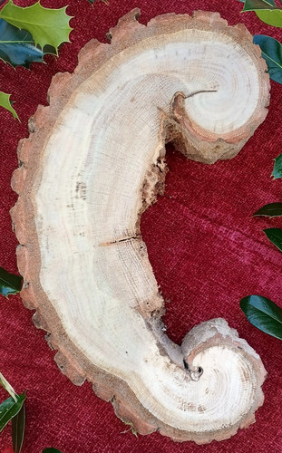 Oak wood unique letter - , 'c'