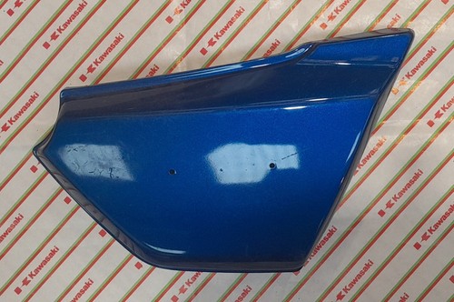 Kawasaki side panel - kawasaki,