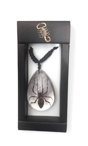 Spider insect necklace black - spider,