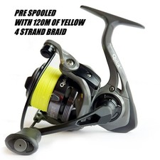 DAM Quick Dynabraid 4 FD -