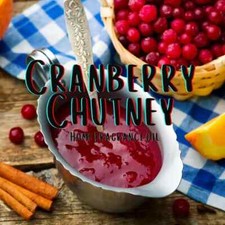 Cranberry Chutney Home Fragrance Aromatherapy Diffuser Warmer Burning Oil