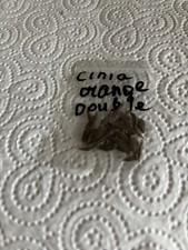 25 seed Dahlia crimson Colours