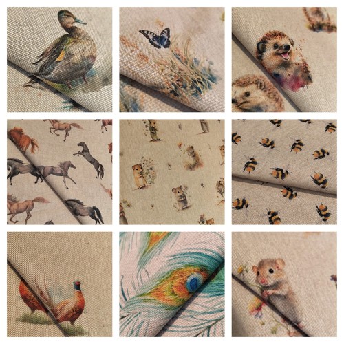 Animal birds designs - animal, &
