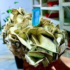 2.24LB Natural Aquamarine Mica paragenesis Crystal Specimen Museum level