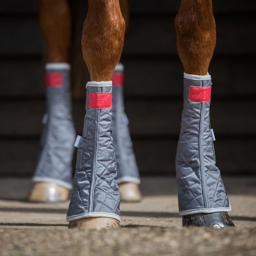 Equilibrium equestrian horse - equilibrium,