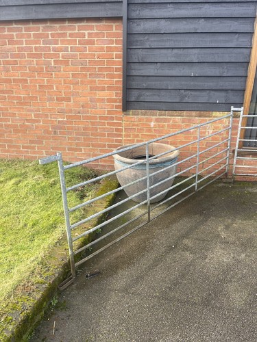Used sheep hurdles - sheep,