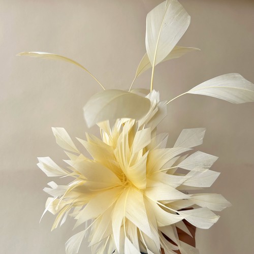 Exquisite feathers fascinators - exquisite,
