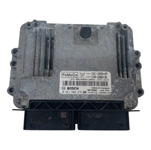 Ford focus engine - focus,