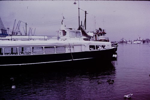 Date terhi boat color - terhi,