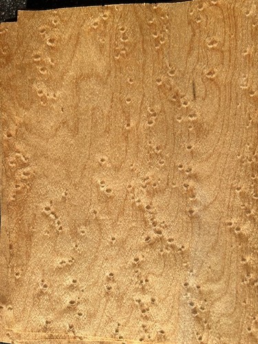 Birds eye maple veneer pack - maple,