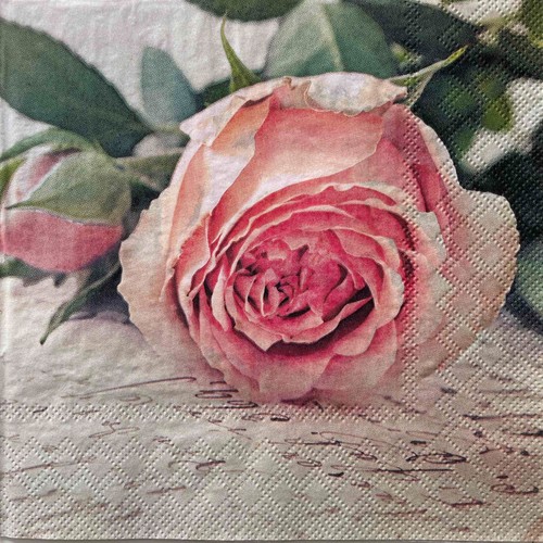 Luncheon paper napkins - paper,