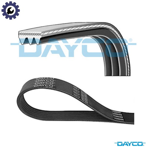 Vribbed belt 3pk668 for - belt,