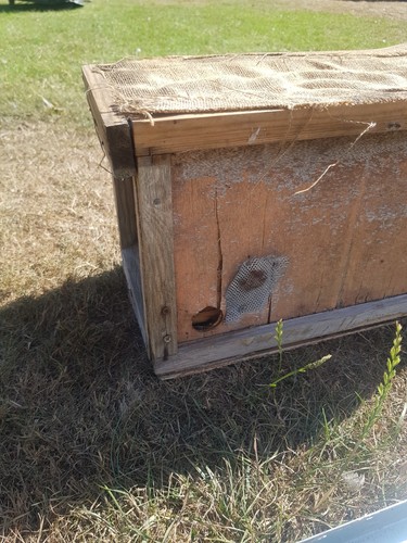 Frame nucleus bait hive - nucleus,
