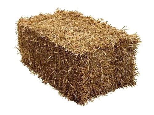 Quality wheat straw bale - straw, ideal