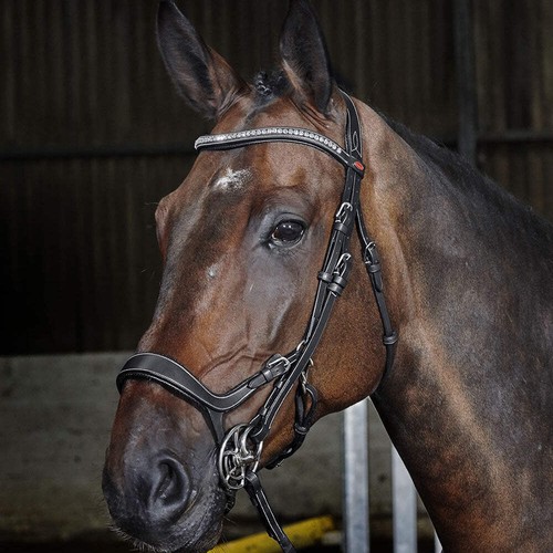 Whitaker horse chicago - whitaker,