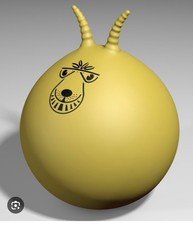 Space Hopper Classic Bouncy