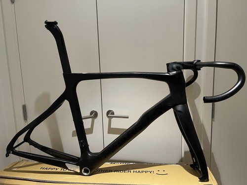Pinarello prince carbon disc - carbon,